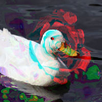 Python Code Jam 2023 Benevolens project preview